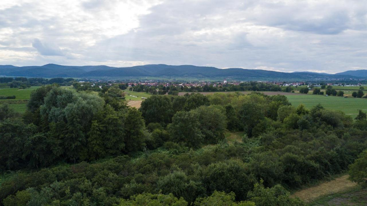 Ferienhaus Lenchen Niederkirchen bei Deidesheim ภายนอก รูปภาพ